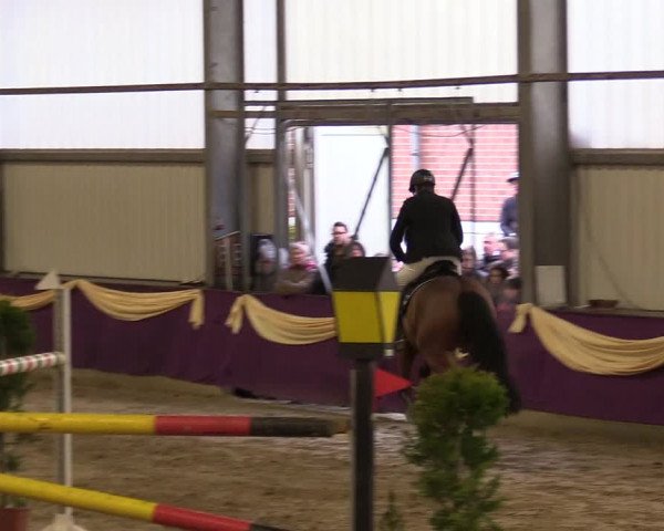 Reitturnier Arnsberg-Voßwinkel 2018