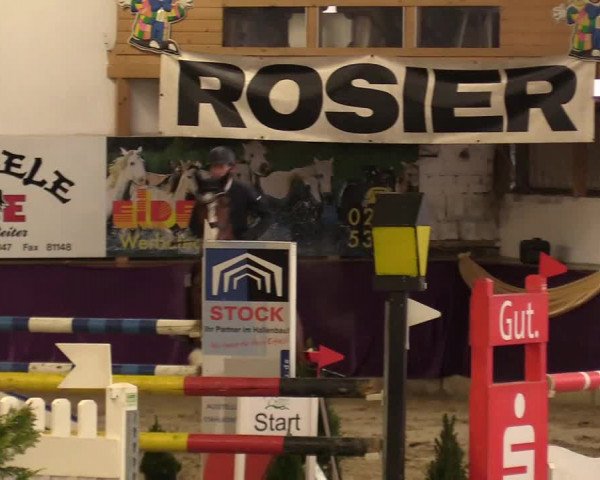 Reitturnier Arnsberg-Voßwinkel 2018