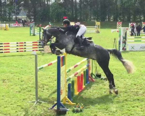 jumper Cimbu (Rhinelander, 2012, from Capistrano 2)