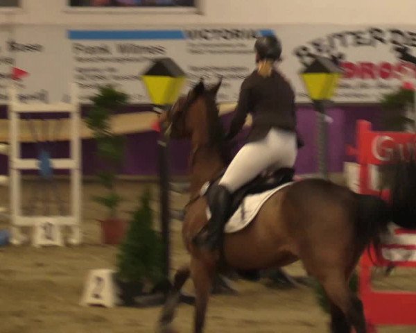 Reitturnier Arnsberg-Voßwinkel 2018