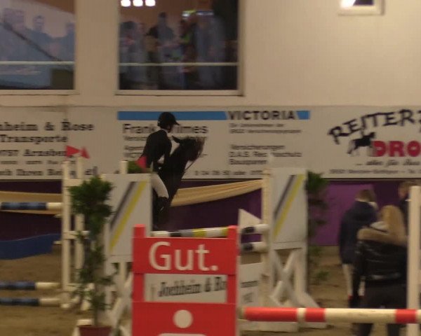 Reitturnier Arnsberg-Voßwinkel 2018