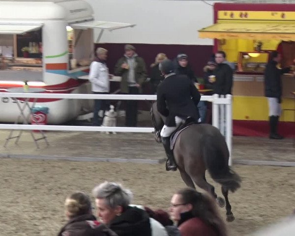 Reitturnier Neustadt/Dosse 2018