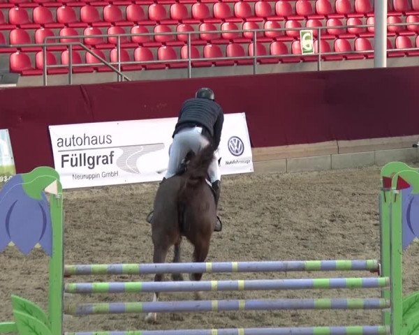 Reitturnier Neustadt/Dosse 2018