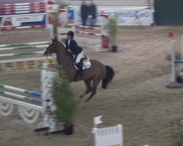 Reitturnier Lathen 2018