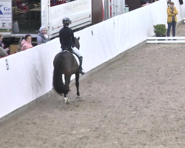 Reitturnier Viernheim 2018