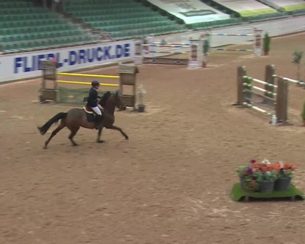 FEI Reitturnier Kreuth (GER) 2018