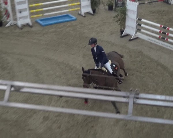 Reitturnier Lathen 2018