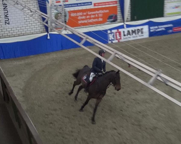 Reitturnier Lathen 2018