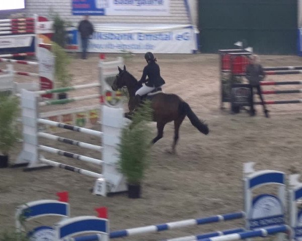 Reitturnier Lathen 2018