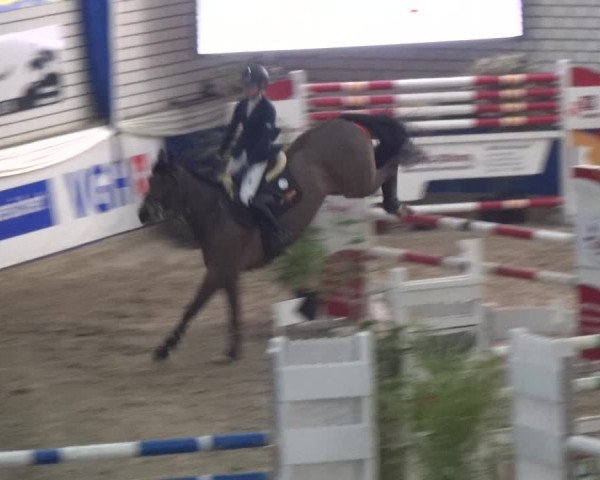 Reitturnier Lathen 2018