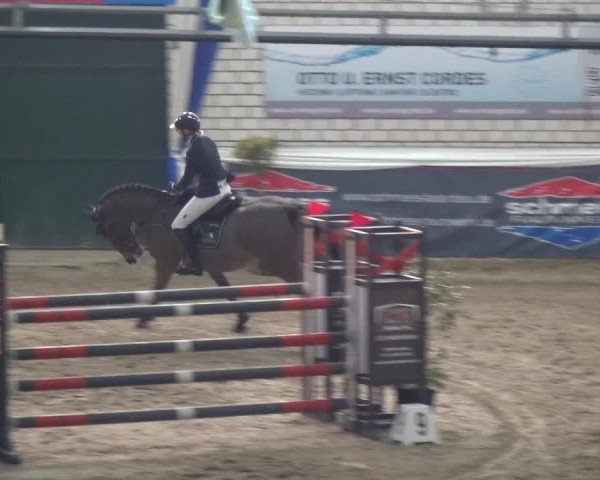 Reitturnier Lathen 2018