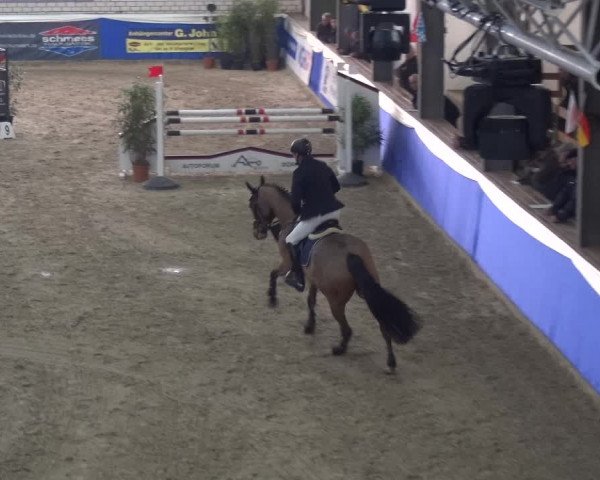 Reitturnier Lathen 2018
