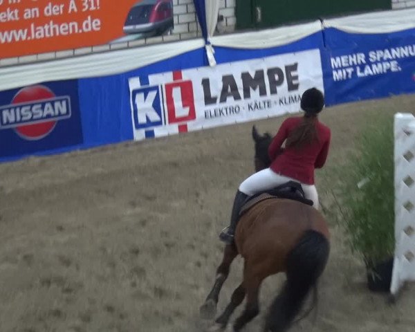 Reitturnier Lathen 2018