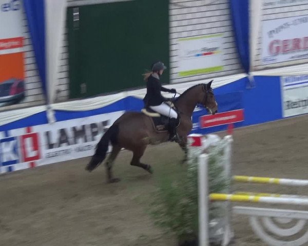 Reitturnier Lathen 2018