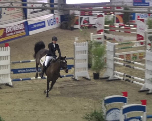 Reitturnier Lathen 2018