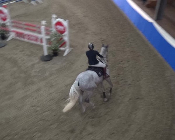 Reitturnier Lathen 2018