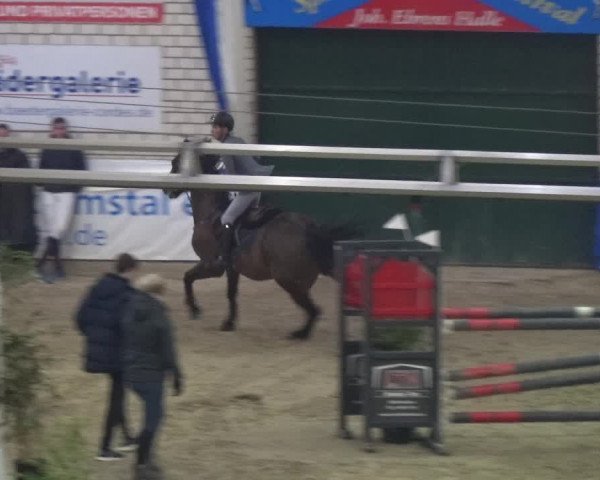 Reitturnier Lathen 2018