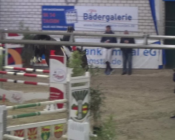 Reitturnier Lathen 2018