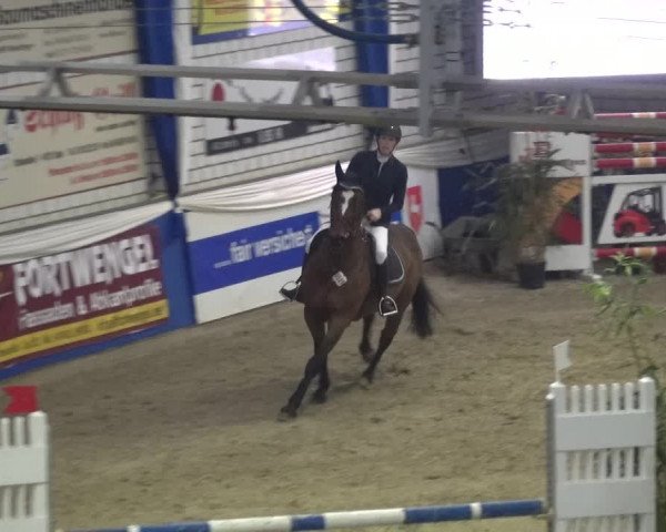 Reitturnier Lathen 2018