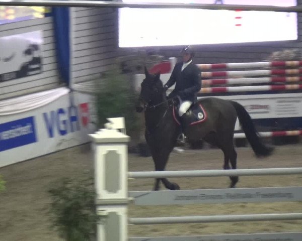 Reitturnier Lathen 2018