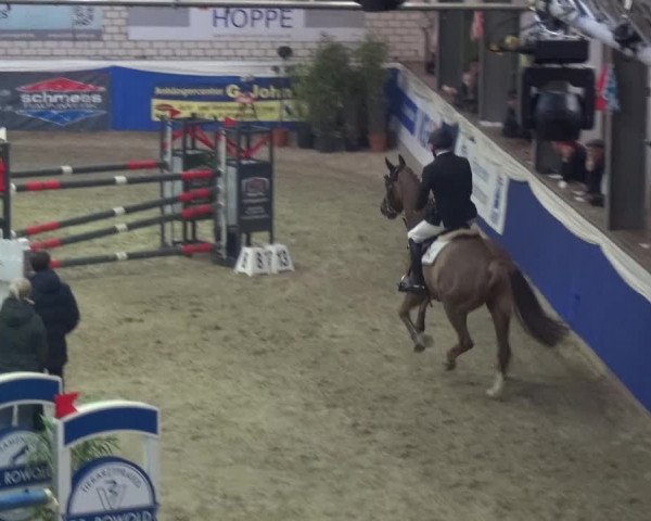 Reitturnier Lathen 2018
