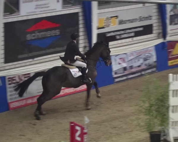 Reitturnier Lathen 2018