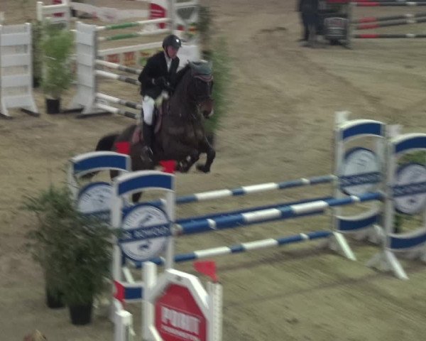 Reitturnier Lathen 2018
