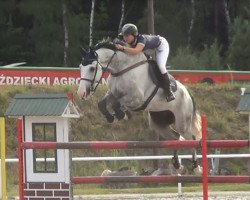 Springpferd Ferdinand (KWPN (Niederländisches Warmblut), 2010, von Faldo)