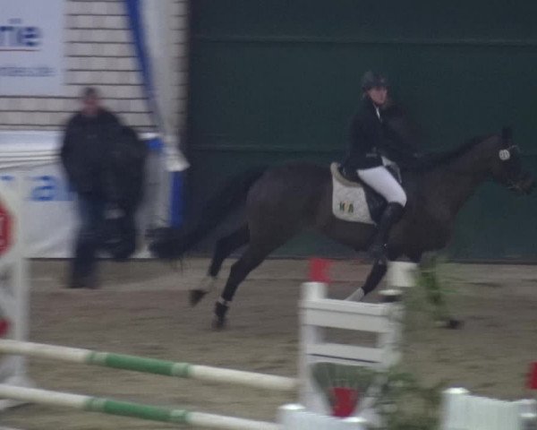 Reitturnier Lathen 2018