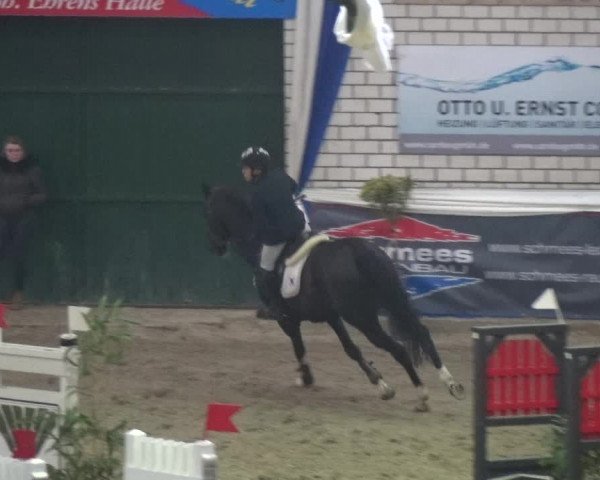 Reitturnier Lathen 2018