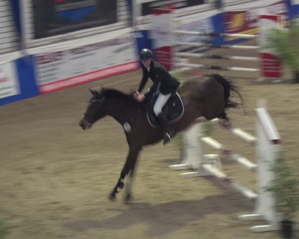 Reitturnier Lathen 2018