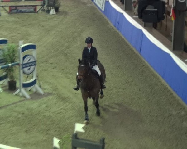 Reitturnier Lathen 2018