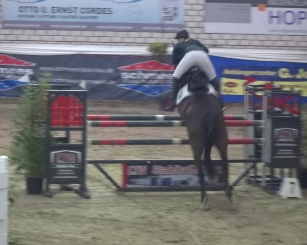Reitturnier Lathen 2018