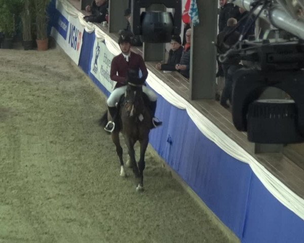 Reitturnier Lathen 2018