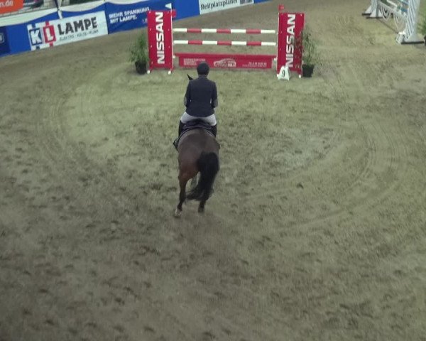 Reitturnier Lathen 2018