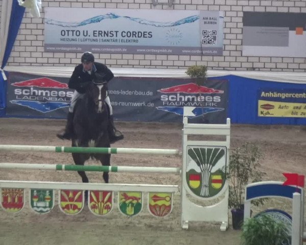 Reitturnier Lathen 2018