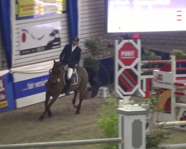 Reitturnier Lathen 2018