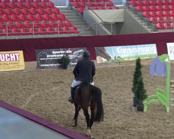 Reitturnier Neustadt/Dosse 2018
