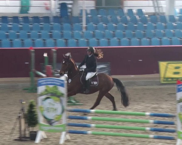 Reitturnier Neustadt/Dosse 2018