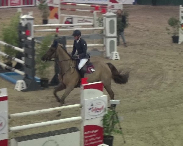 Reitturnier Lathen 2018