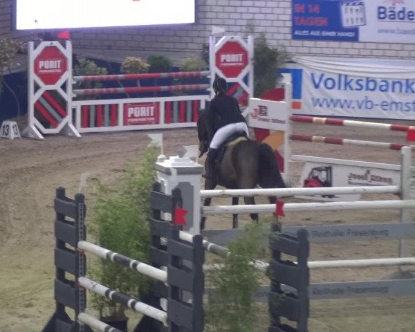 Reitturnier Lathen 2018