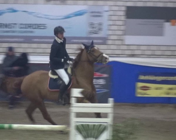 Reitturnier Lathen 2018