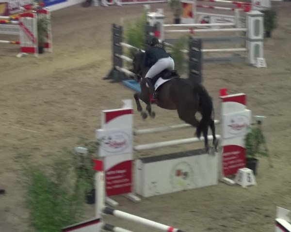 Reitturnier Lathen 2018