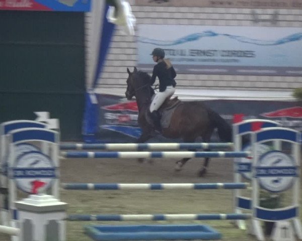 Reitturnier Lathen 2018