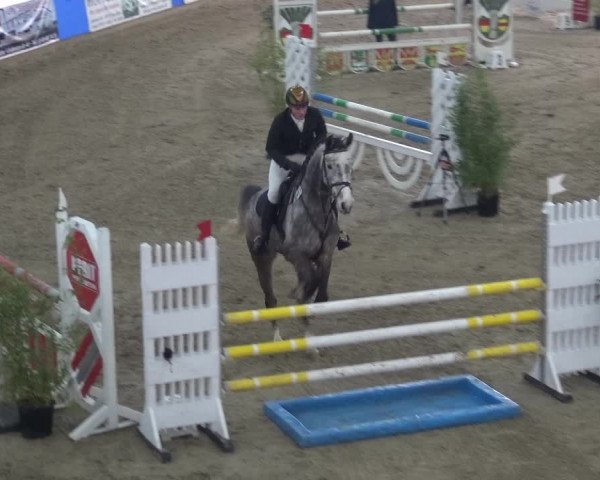 Reitturnier Lathen 2018