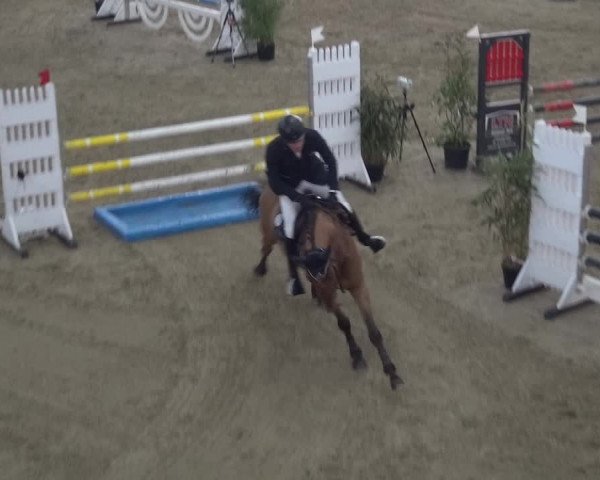 Reitturnier Lathen 2018