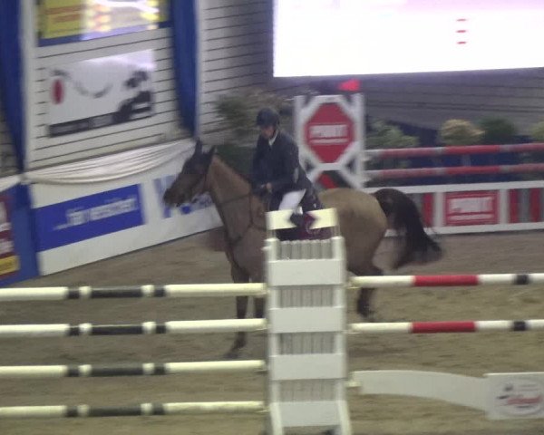 Reitturnier Lathen 2018