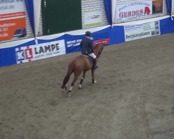 Reitturnier Lathen 2018