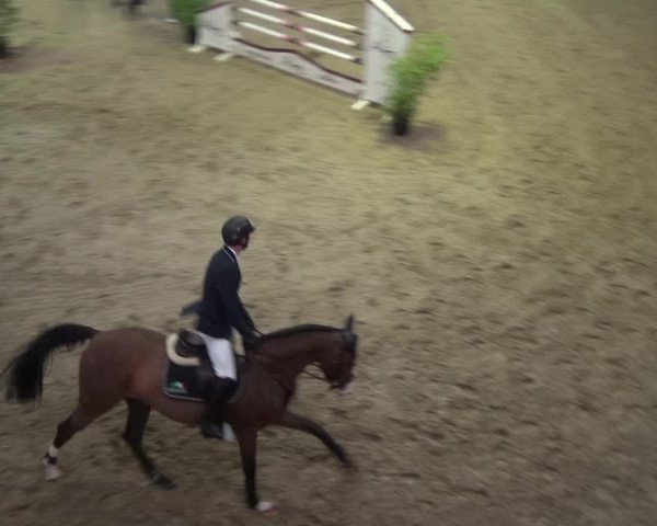 Reitturnier Lathen 2018