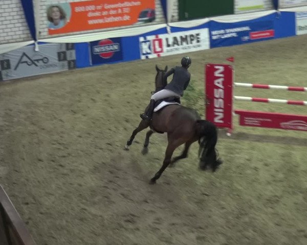 Reitturnier Lathen 2018